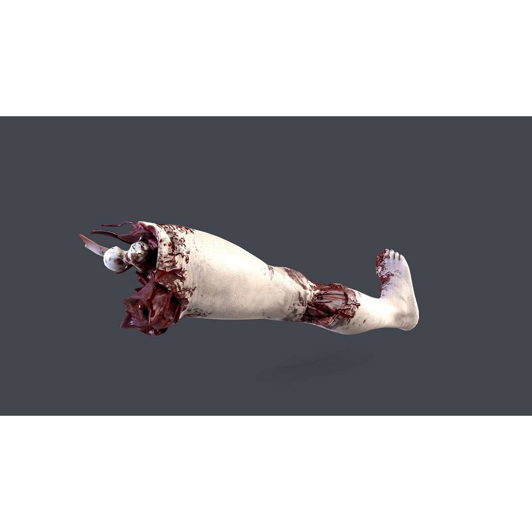 Severed Feet 3D Model – Low Poly Horror Asset, FBX, PBR Textures - View 23