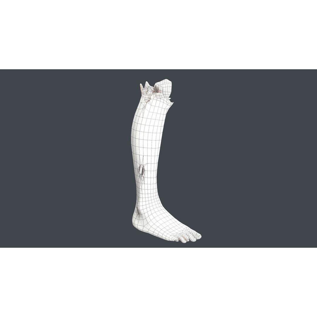 Severed Feet 3D Model – Low Poly Horror Asset, FBX, PBR Textures - View 29