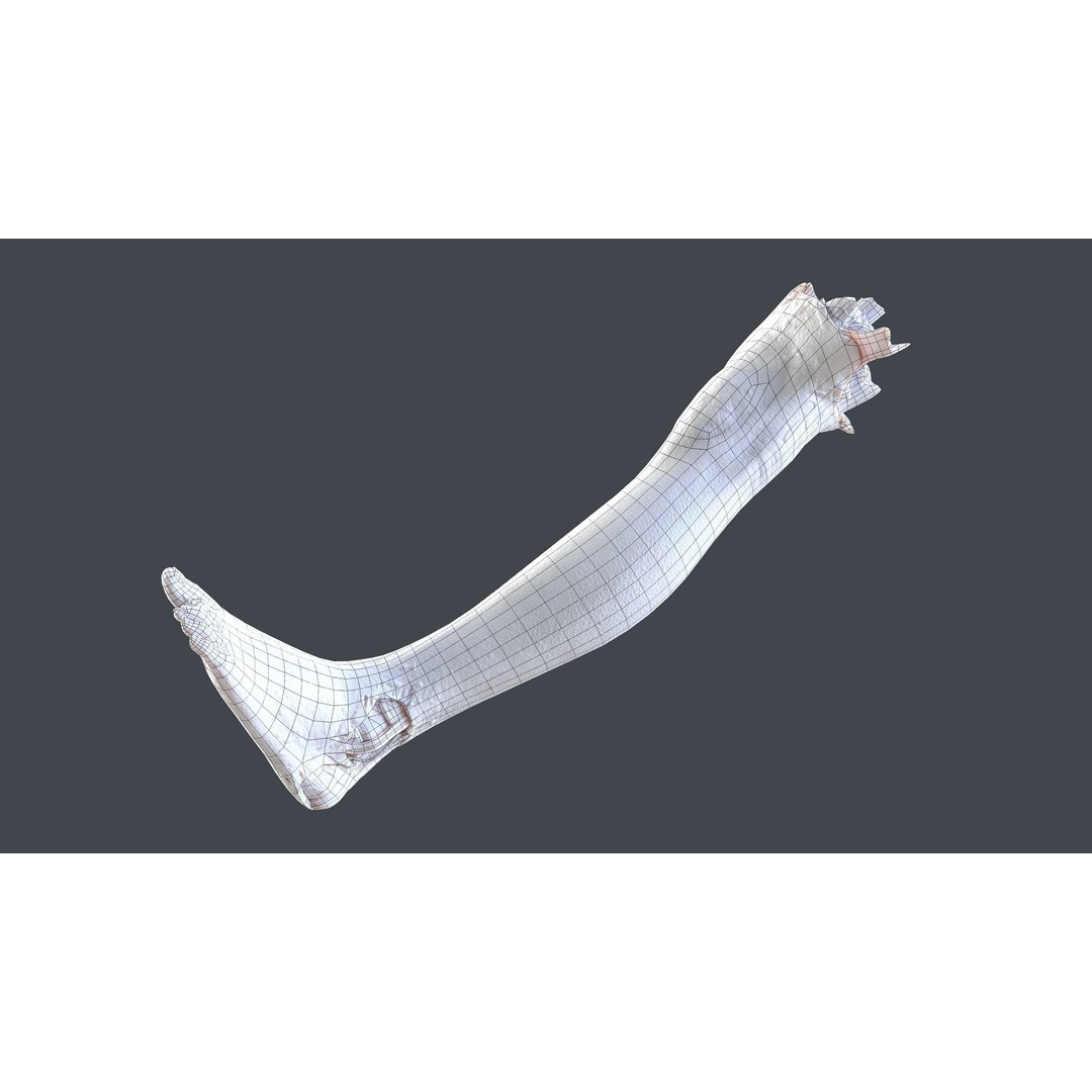Severed Feet 3D Model – Low Poly Horror Asset, FBX, PBR Textures - View 30