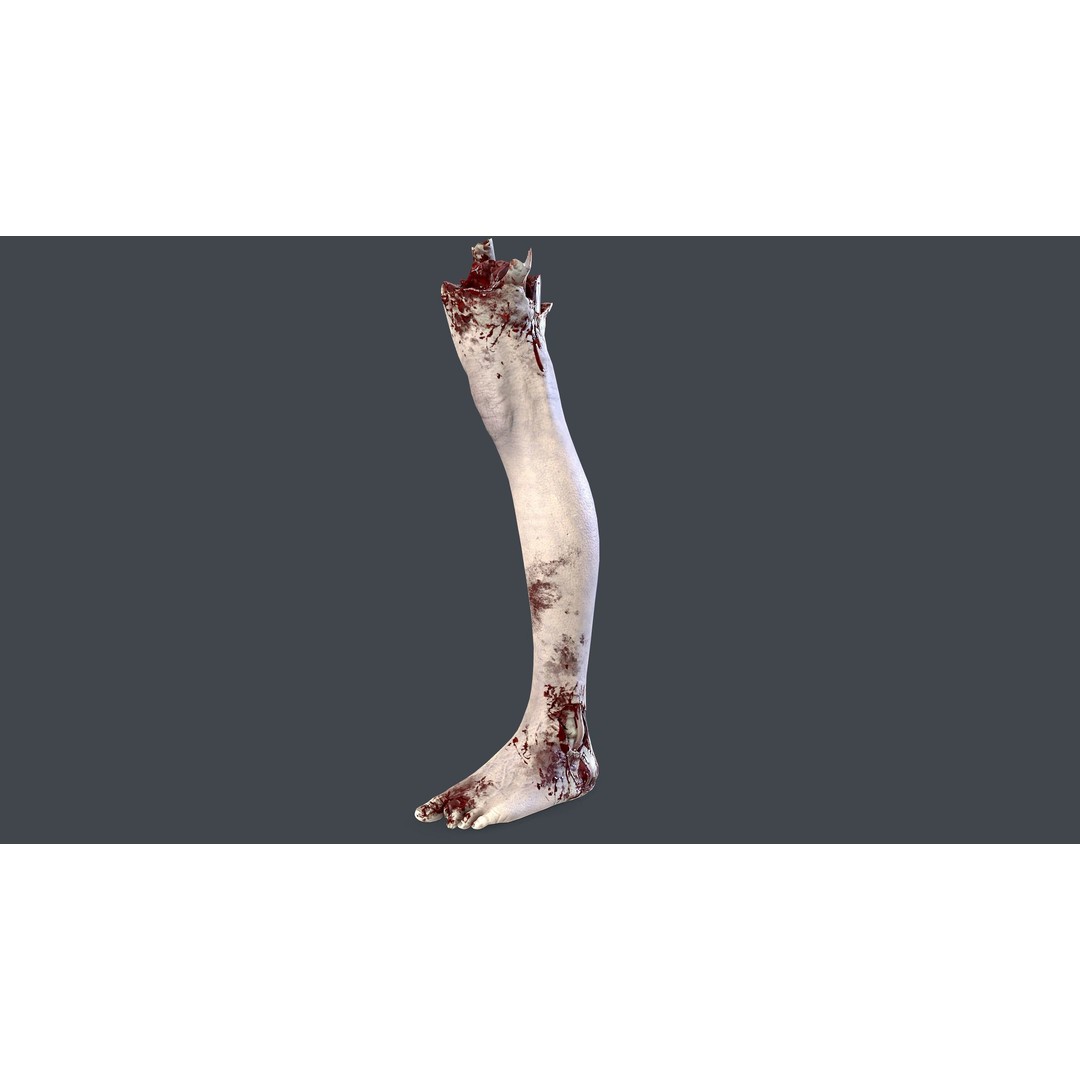 Severed Feet 3D Model – Low Poly Horror Asset, FBX, PBR Textures - View 5