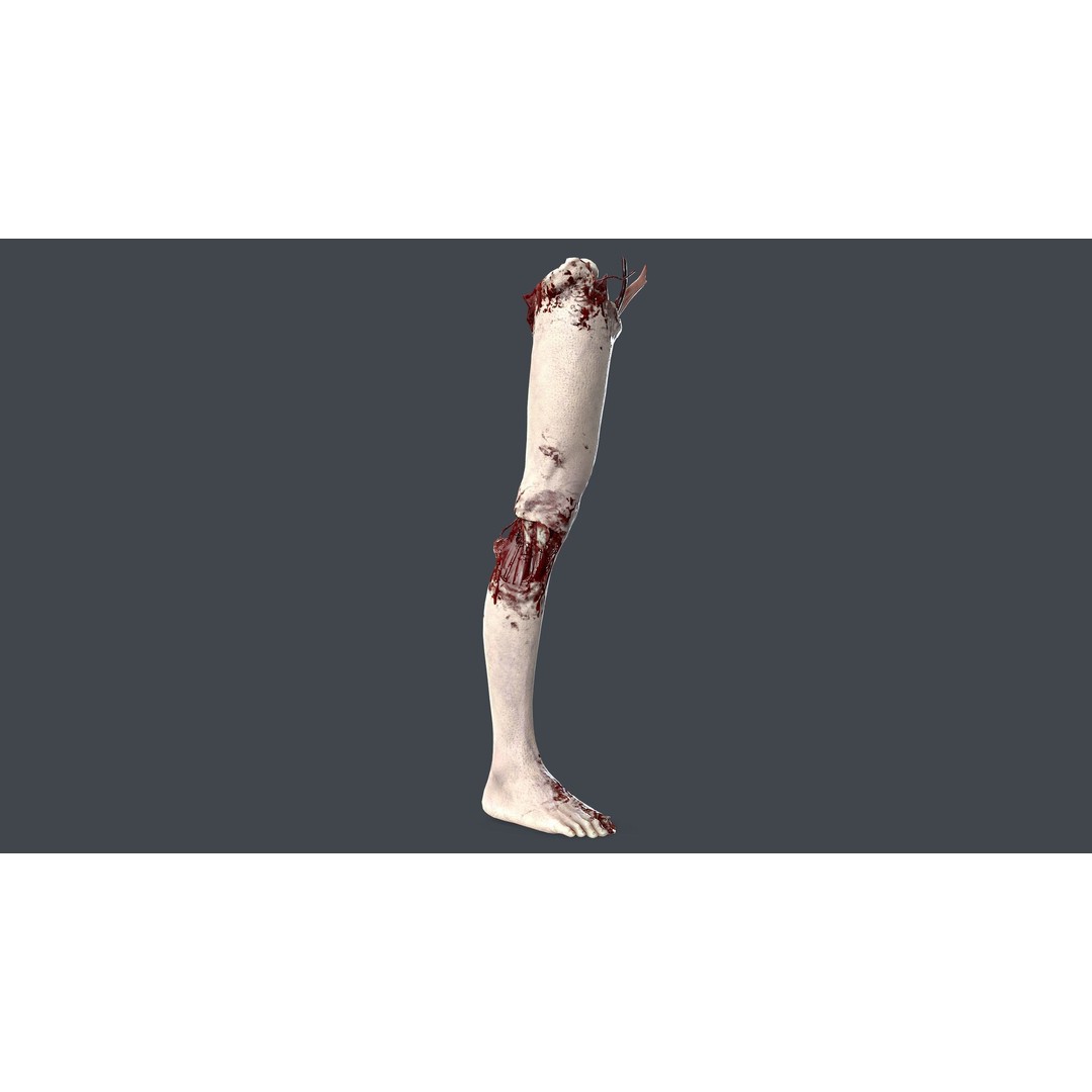 Severed Feet 3D Model – Low Poly Horror Asset, FBX, PBR Textures - View 6