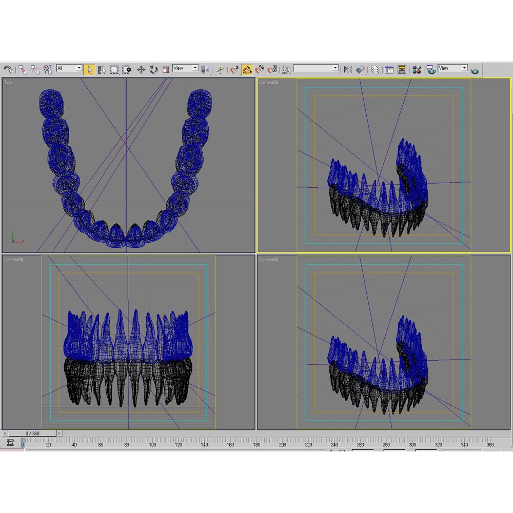 Dentition 3D Model – Anatomical Teeth and Gums, FBX, OBJ