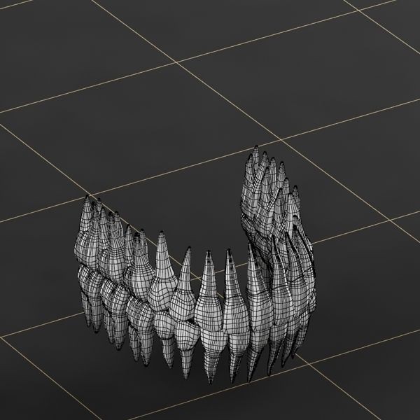 Dentition 3D Model – Anatomical Teeth and Gums, FBX, OBJ - View 11