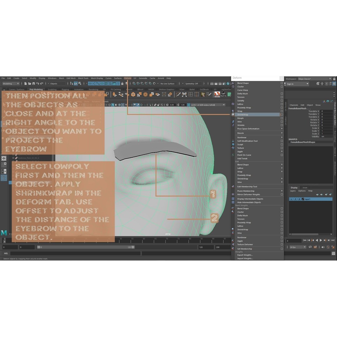 Eyebrow Pack 3D Model – Low Poly Hair Grooming Asset, Blender, Maya - View 24