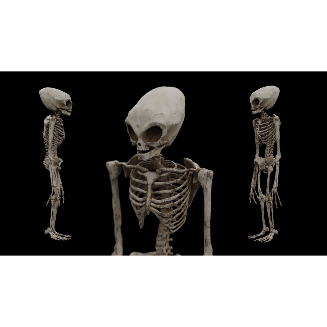 Humanoid Alien Skeleton 3D Model – Low Poly PBR Game Asset, FBX