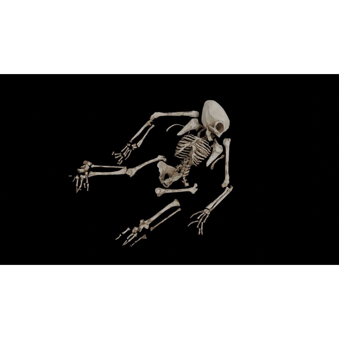 Humanoid Alien Skeleton 3D Model – Low Poly PBR Game Asset, FBX - View 10