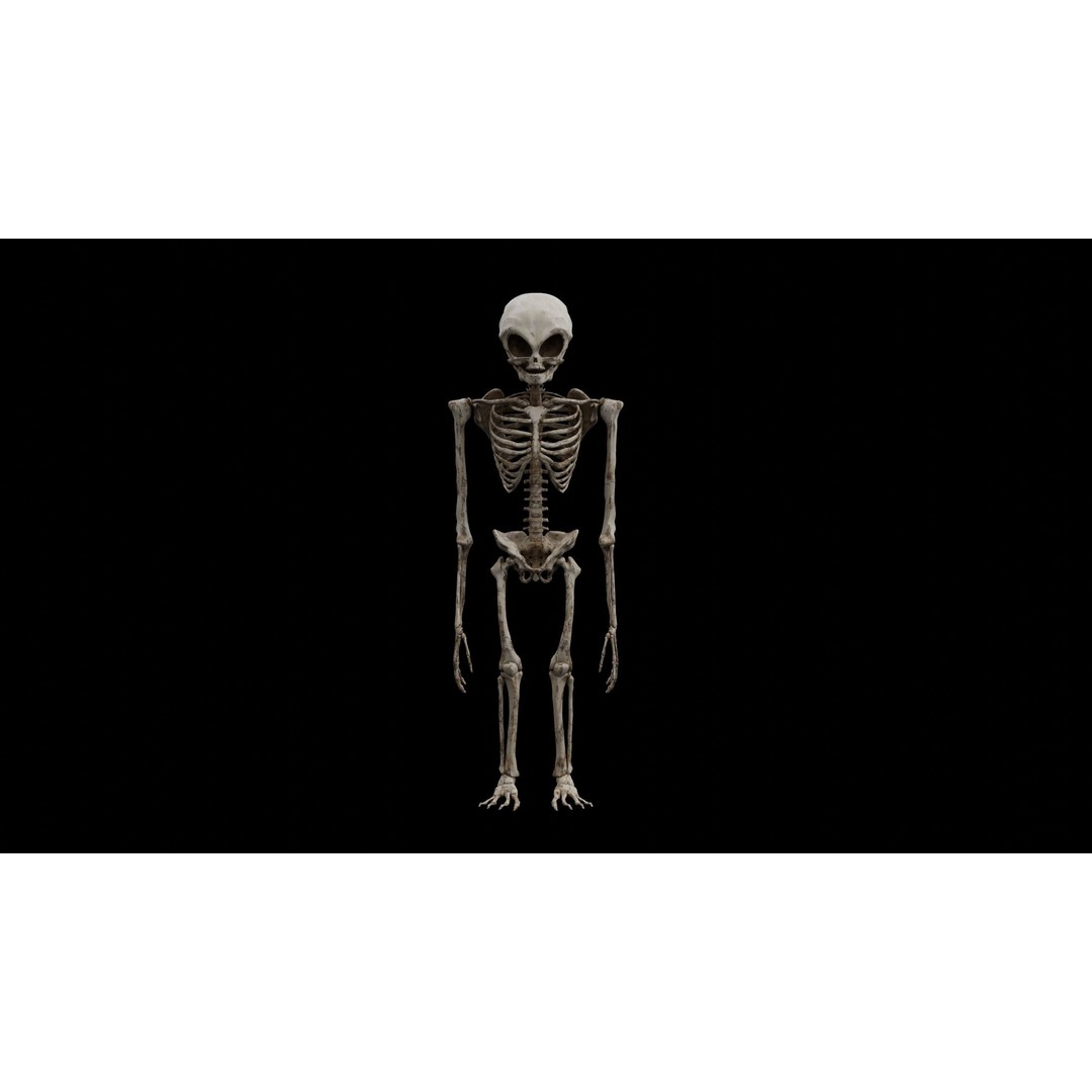 Humanoid Alien Skeleton 3D Model – Low Poly PBR Game Asset, FBX - View 11