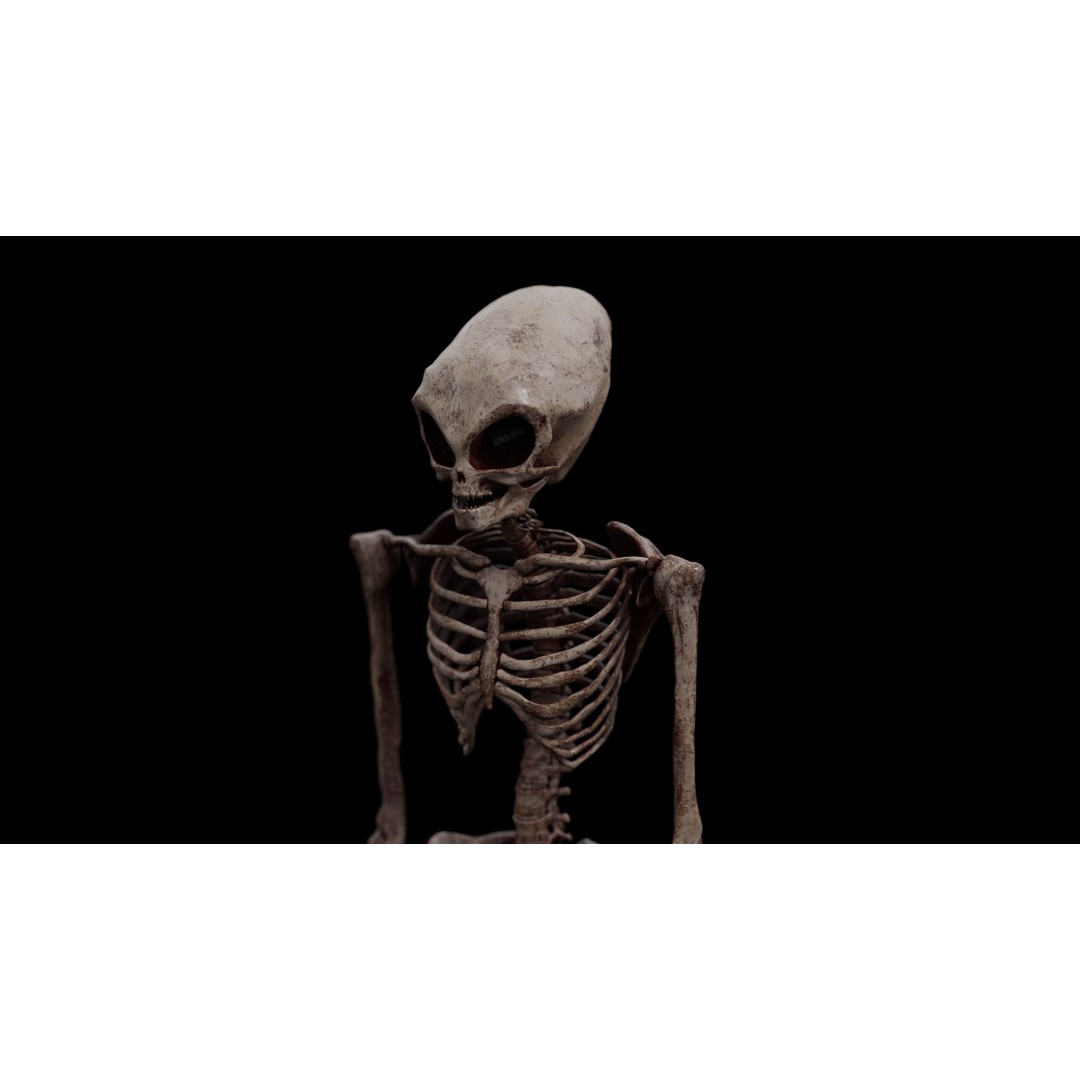 Humanoid Alien Skeleton 3D Model – Low Poly PBR Game Asset, FBX - View 12