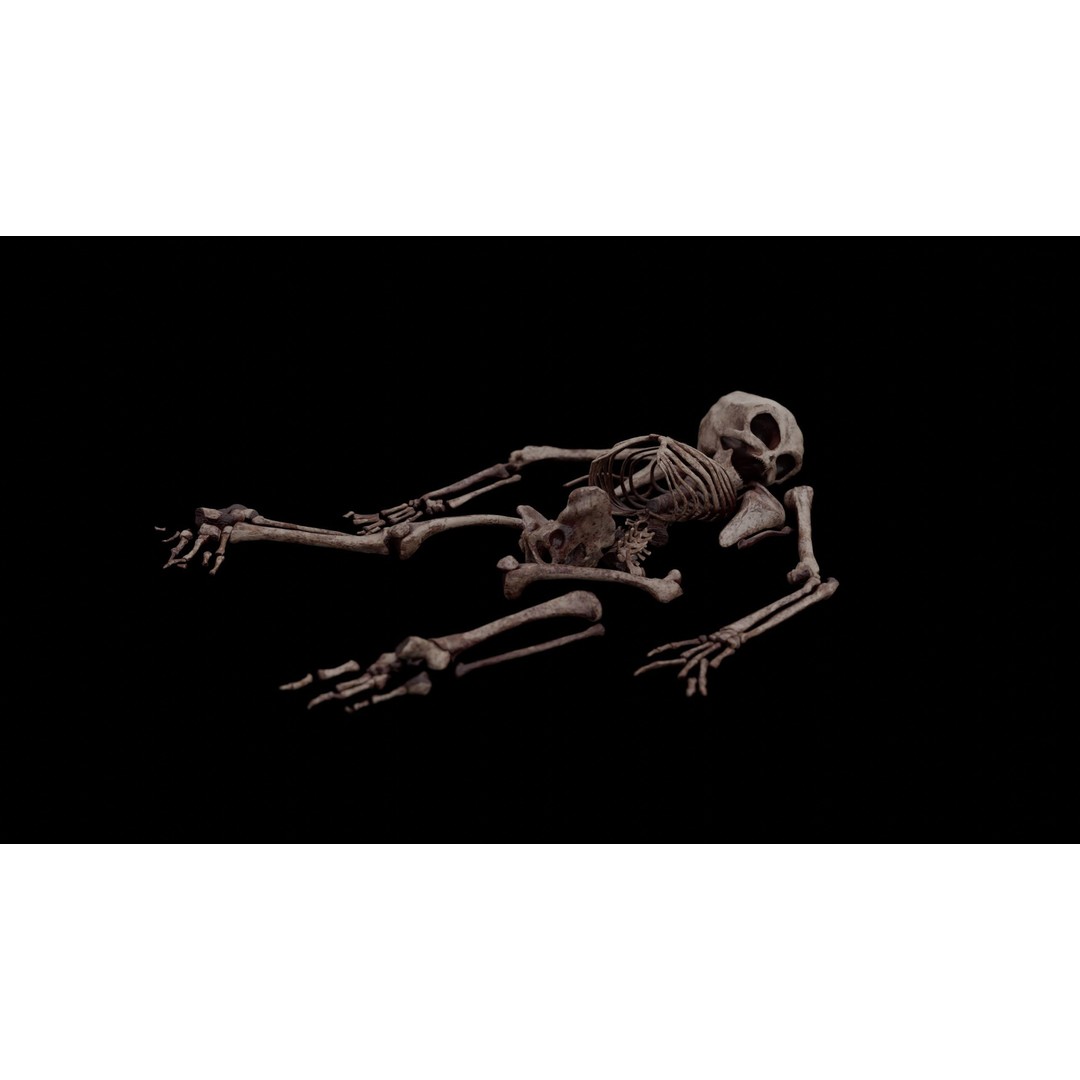 Humanoid Alien Skeleton 3D Model – Low Poly PBR Game Asset, FBX - View 13
