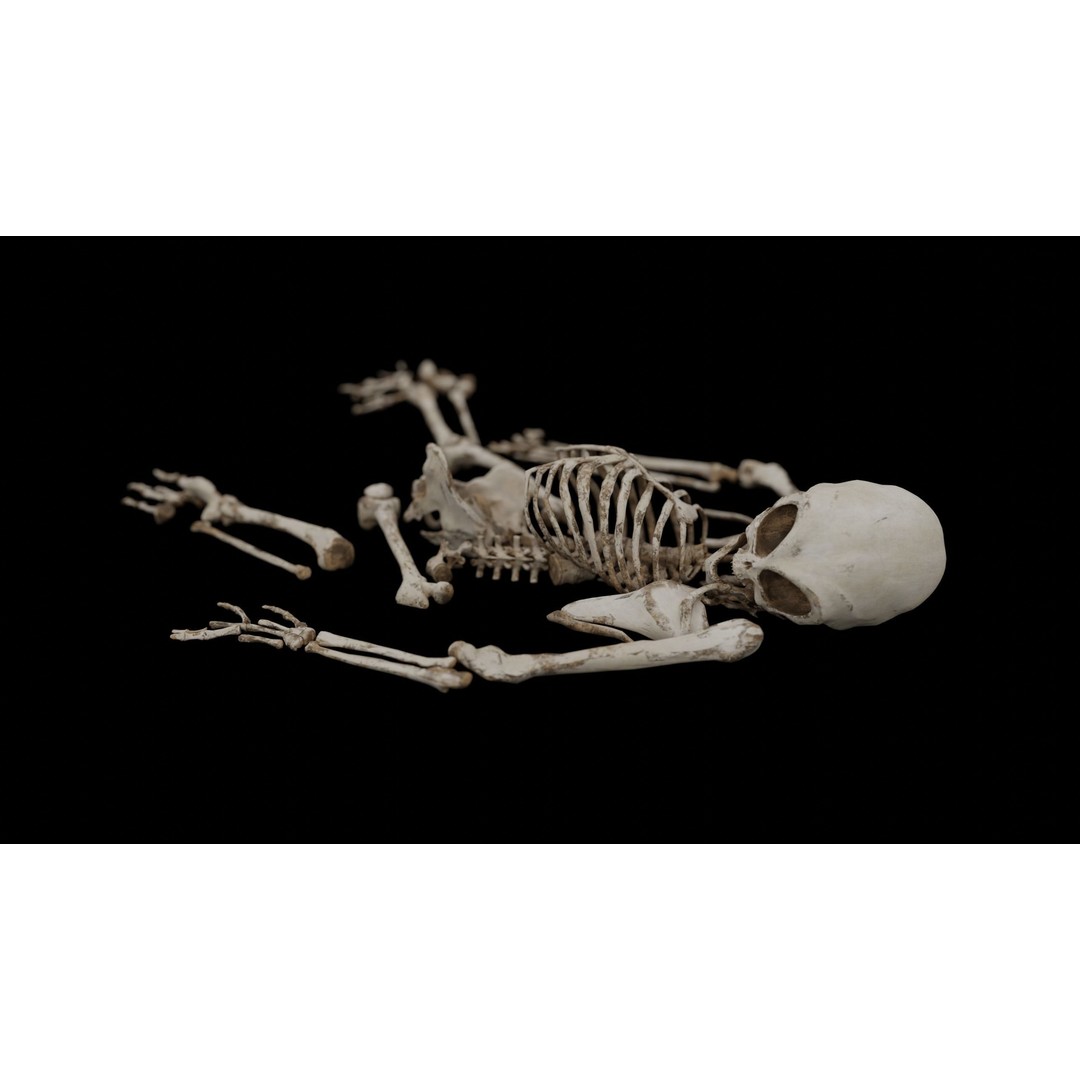 Humanoid Alien Skeleton 3D Model – Low Poly PBR Game Asset, FBX - View 15