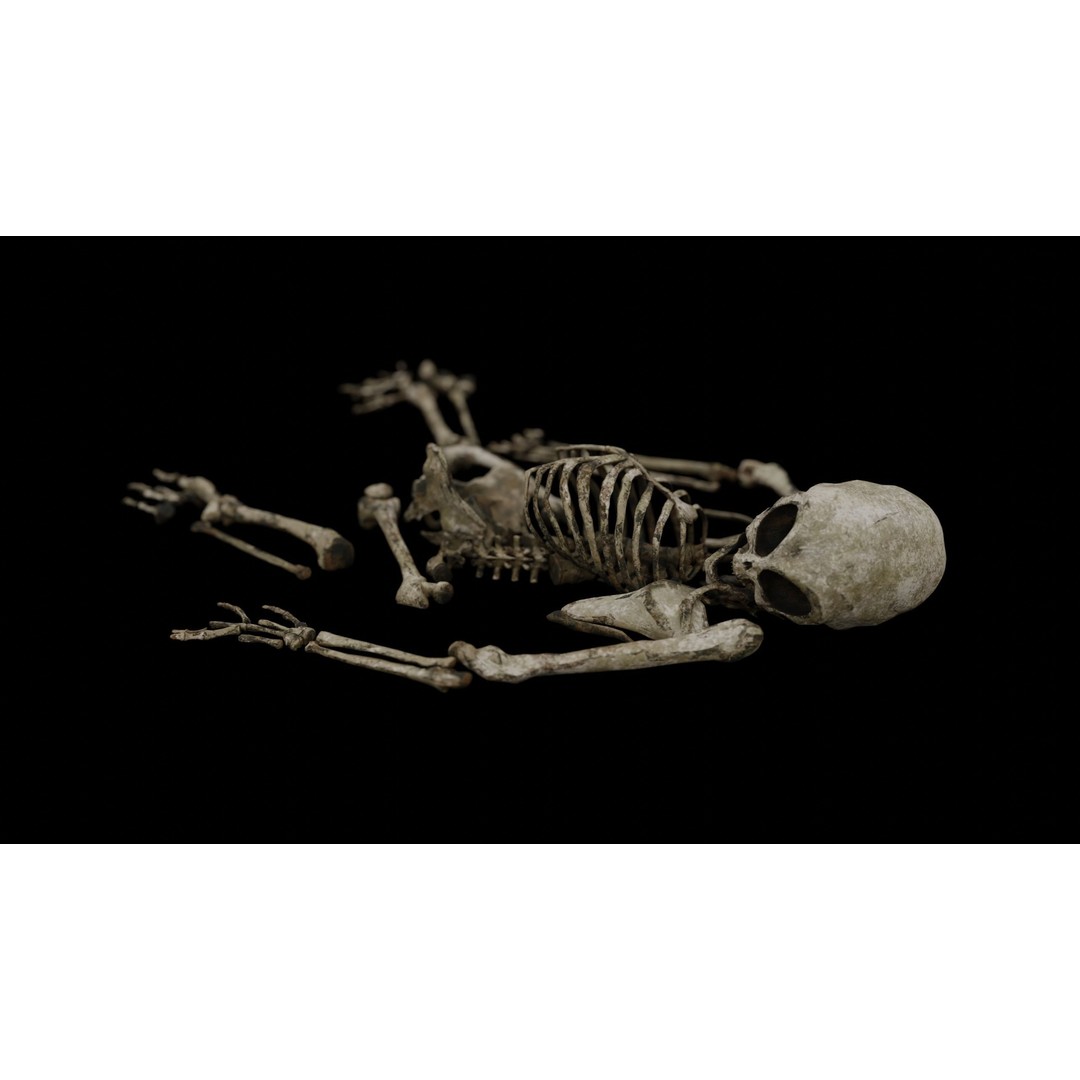 Humanoid Alien Skeleton 3D Model – Low Poly PBR Game Asset, FBX - View 16