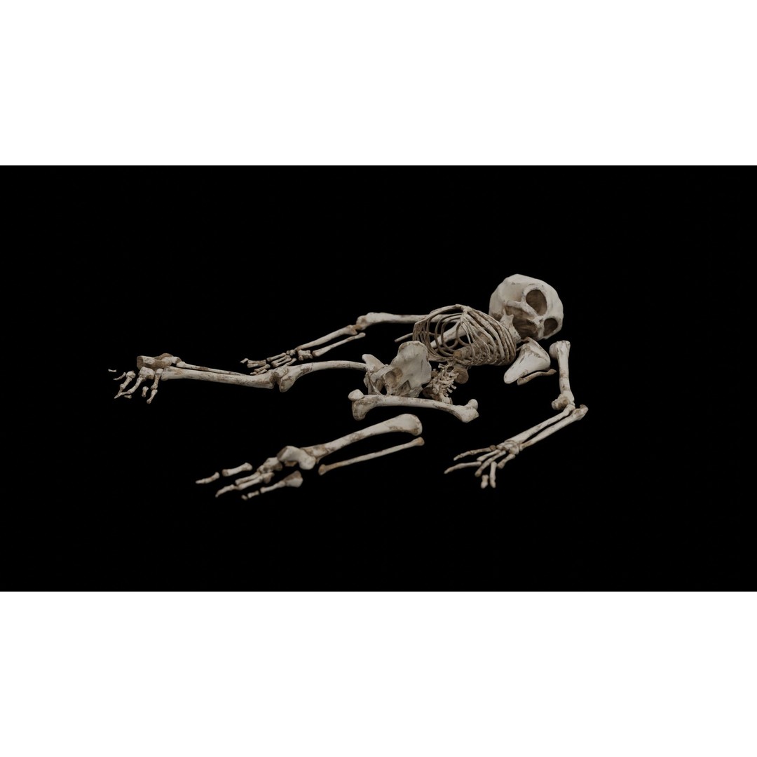 Humanoid Alien Skeleton 3D Model – Low Poly PBR Game Asset, FBX - View 17