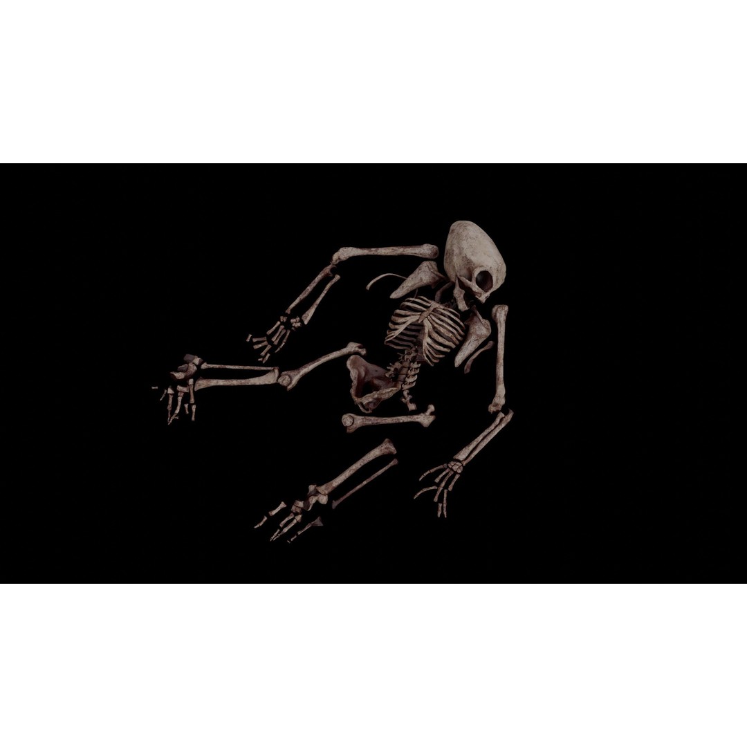 Humanoid Alien Skeleton 3D Model – Low Poly PBR Game Asset, FBX - View 19