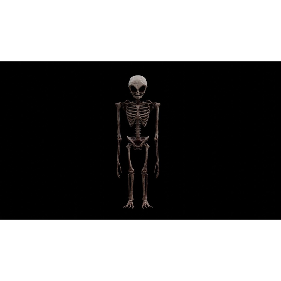 Humanoid Alien Skeleton 3D Model – Low Poly PBR Game Asset, FBX - View 20