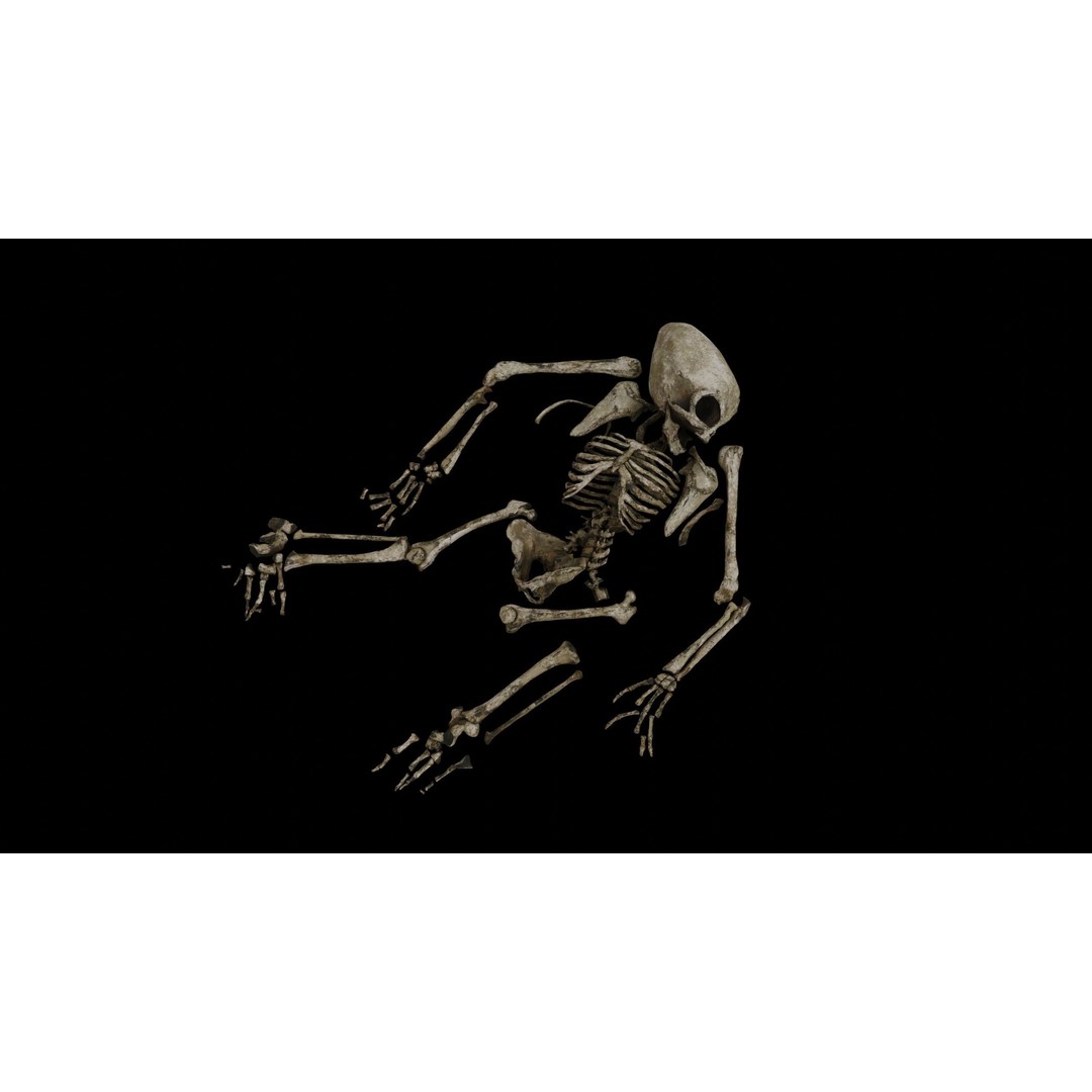 Humanoid Alien Skeleton 3D Model – Low Poly PBR Game Asset, FBX - View 21