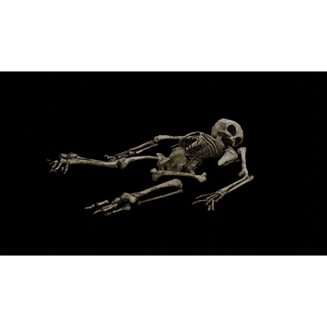 Humanoid Alien Skeleton 3D Model – Low Poly PBR Game Asset, FBX - View 22