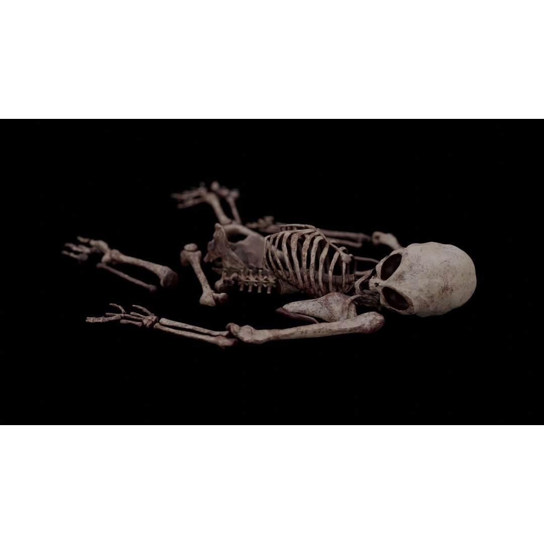 Humanoid Alien Skeleton 3D Model – Low Poly PBR Game Asset, FBX - View 23