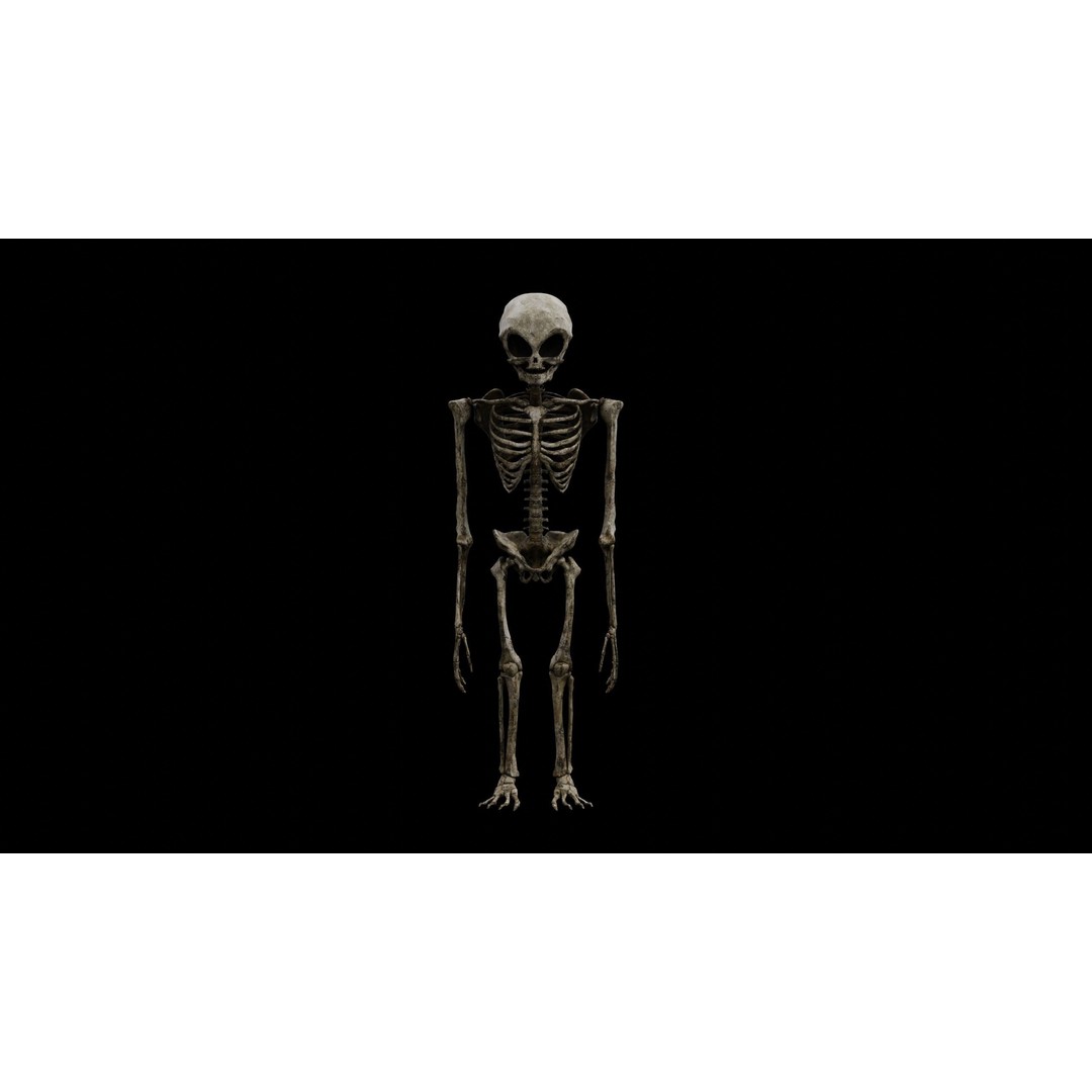 Humanoid Alien Skeleton 3D Model – Low Poly PBR Game Asset, FBX - View 25