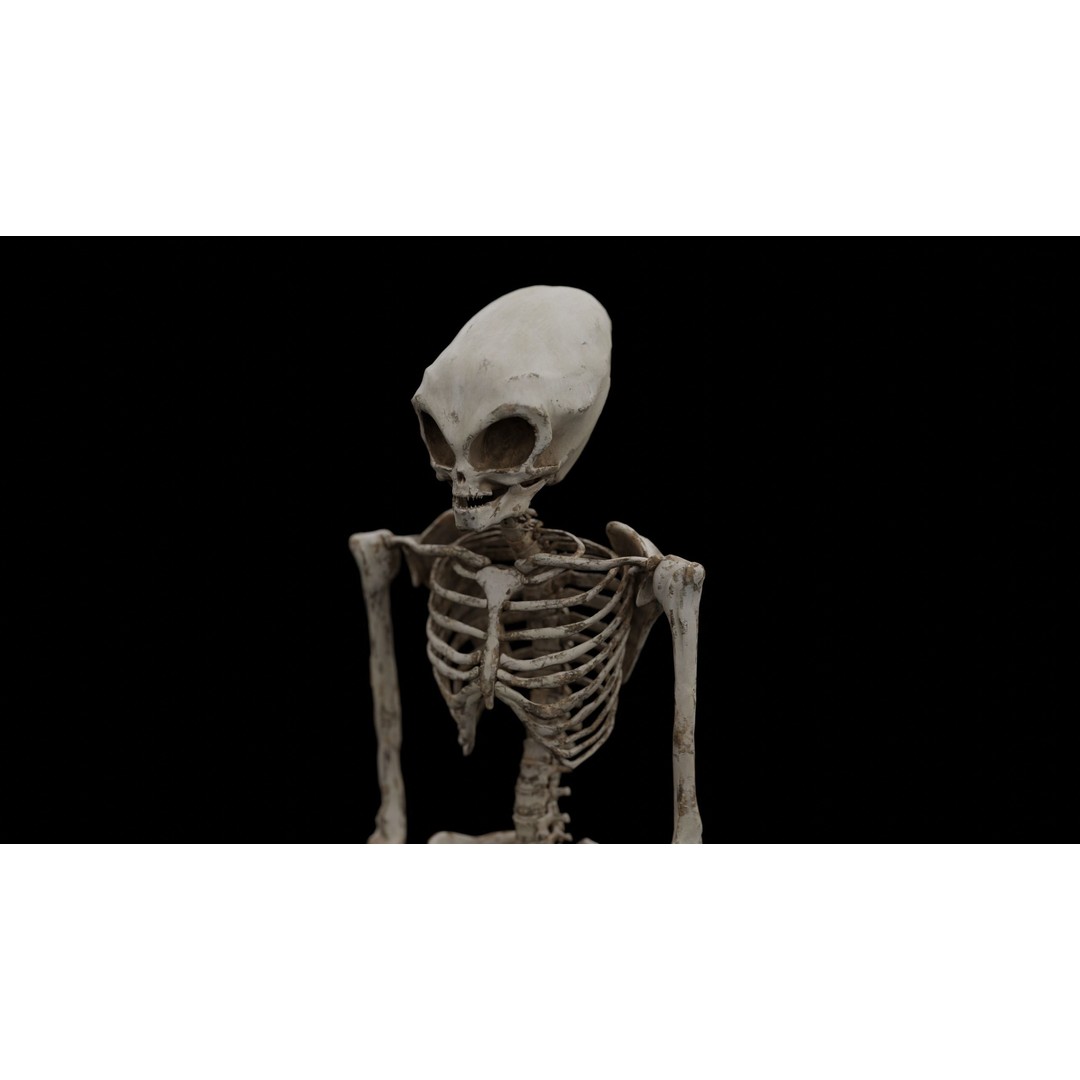 Humanoid Alien Skeleton 3D Model – Low Poly PBR Game Asset, FBX - View 6