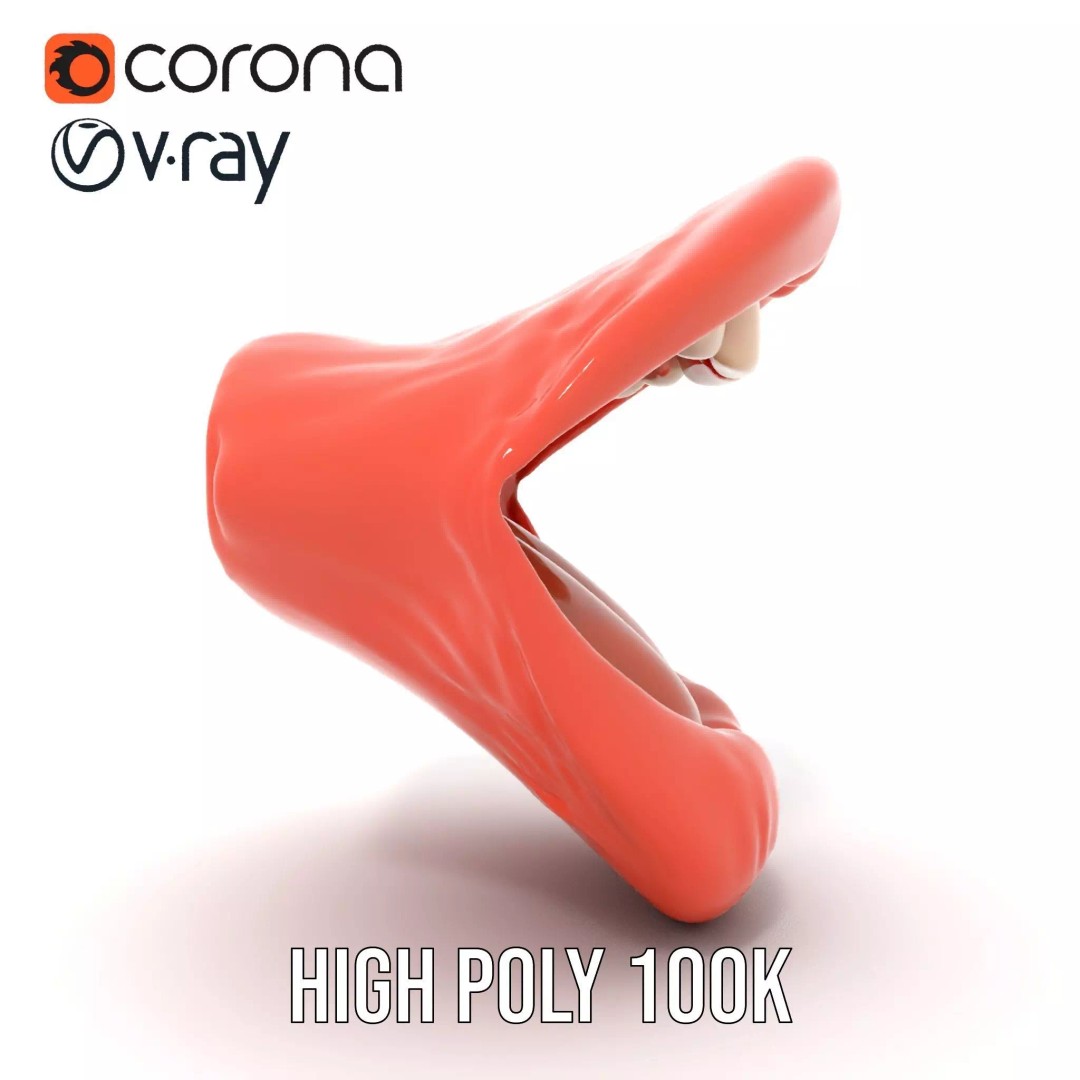 Realistic Open Mouth 3D Model – Low Poly PBR Asset for Animation - View 19