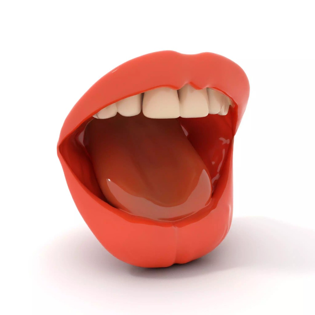 Realistic Open Mouth 3D Model – Low Poly PBR Asset for Animation - View 2