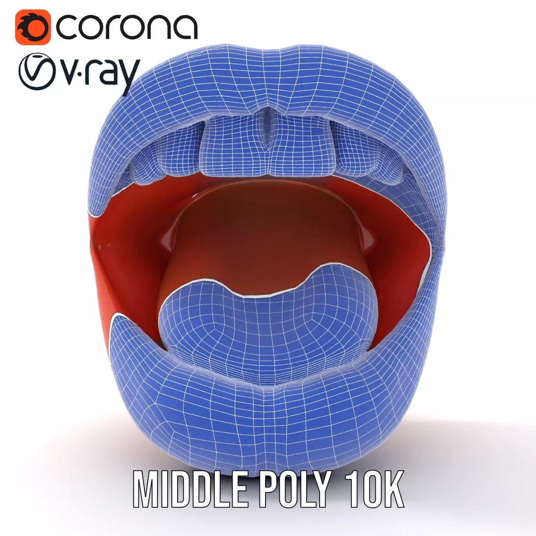 Realistic Open Mouth 3D Model – Low Poly PBR Asset for Animation - View 20