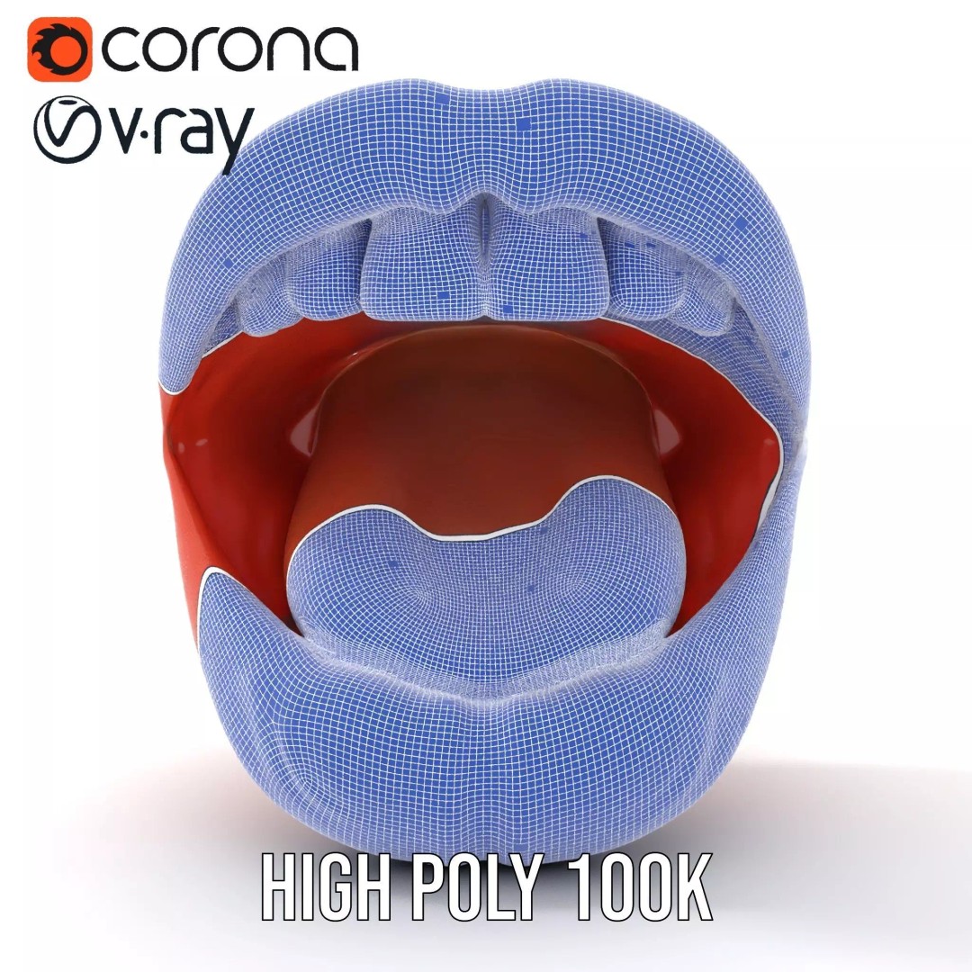 Realistic Open Mouth 3D Model – Low Poly PBR Asset for Animation - View 32