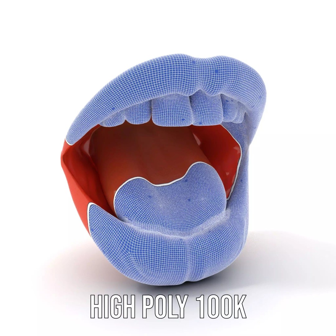 Realistic Open Mouth 3D Model – Low Poly PBR Asset for Animation - View 5