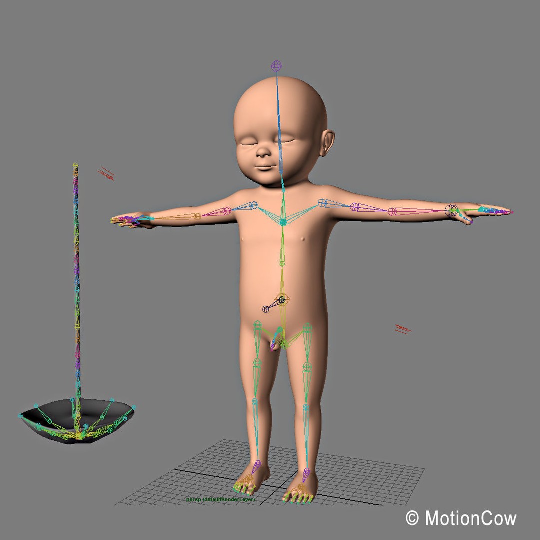 Human Fetus 3D Model – Detailed Rigged Anatomy for Education - View 21