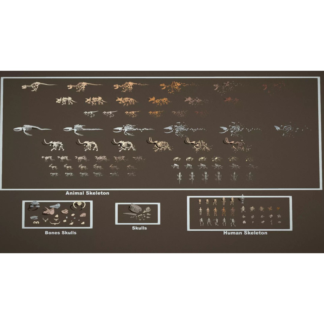 Skeleton Props 3D Model – Low Poly Collection with PBR Textures