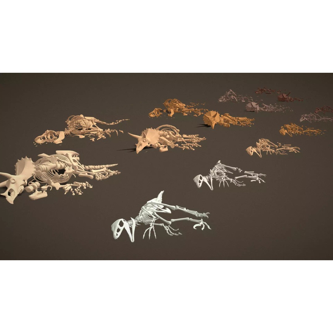 Skeleton Props 3D Model – Low Poly Collection with PBR Textures - View 11