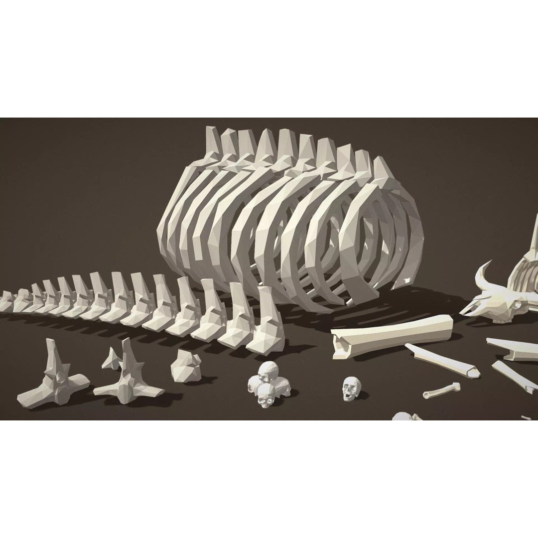 Skeleton Props 3D Model – Low Poly Collection with PBR Textures - View 17