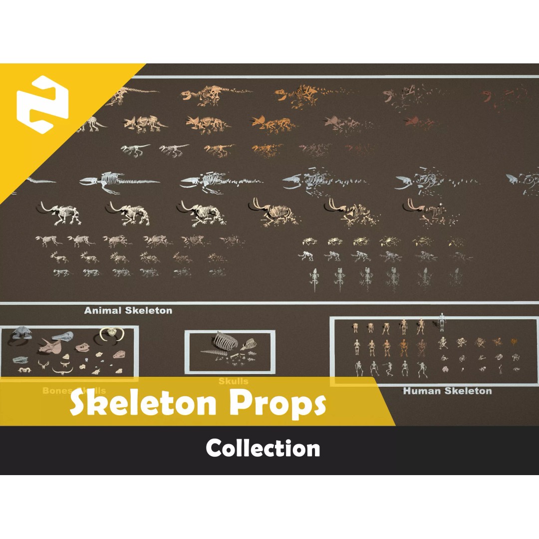 Skeleton Props 3D Model – Low Poly Collection with PBR Textures - View 2