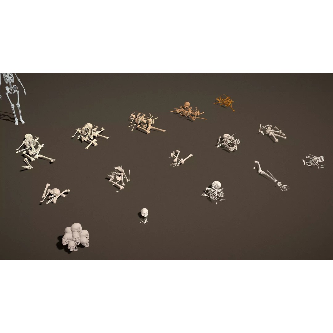Skeleton Props 3D Model – Low Poly Collection with PBR Textures - View 23
