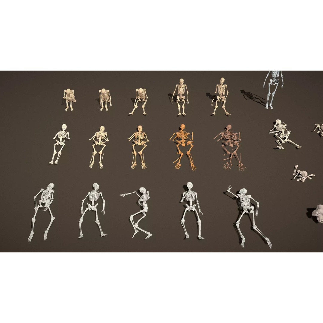 Skeleton Props 3D Model – Low Poly Collection with PBR Textures - View 24