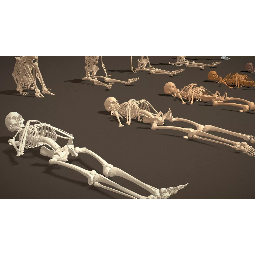 Skeleton Props 3D Model – Low Poly Collection with PBR Textures - View 25