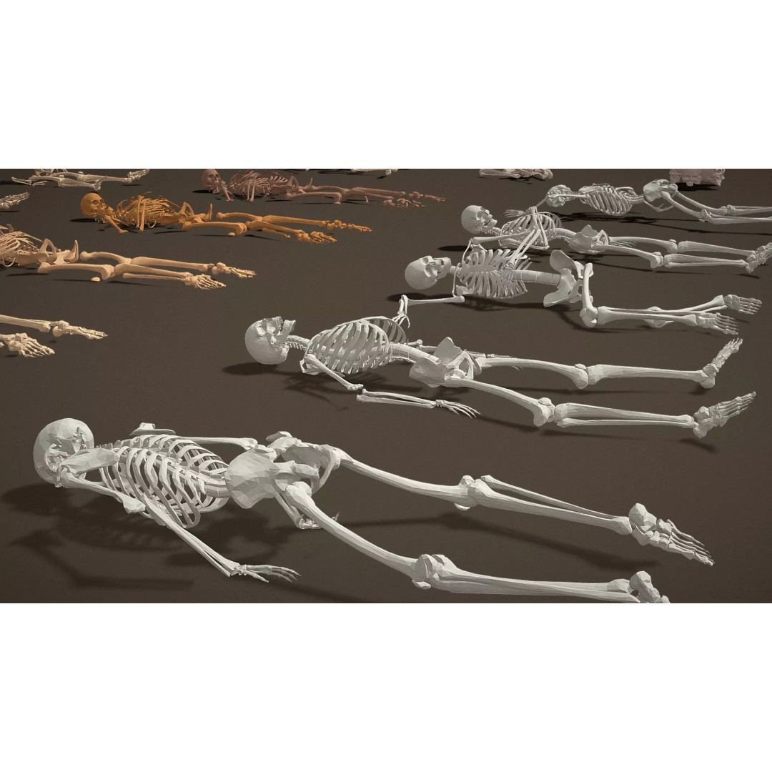 Skeleton Props 3D Model – Low Poly Collection with PBR Textures - View 26