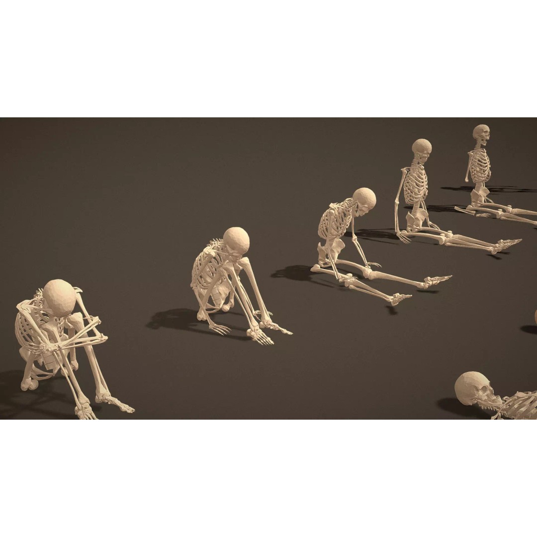 Skeleton Props 3D Model – Low Poly Collection with PBR Textures - View 27