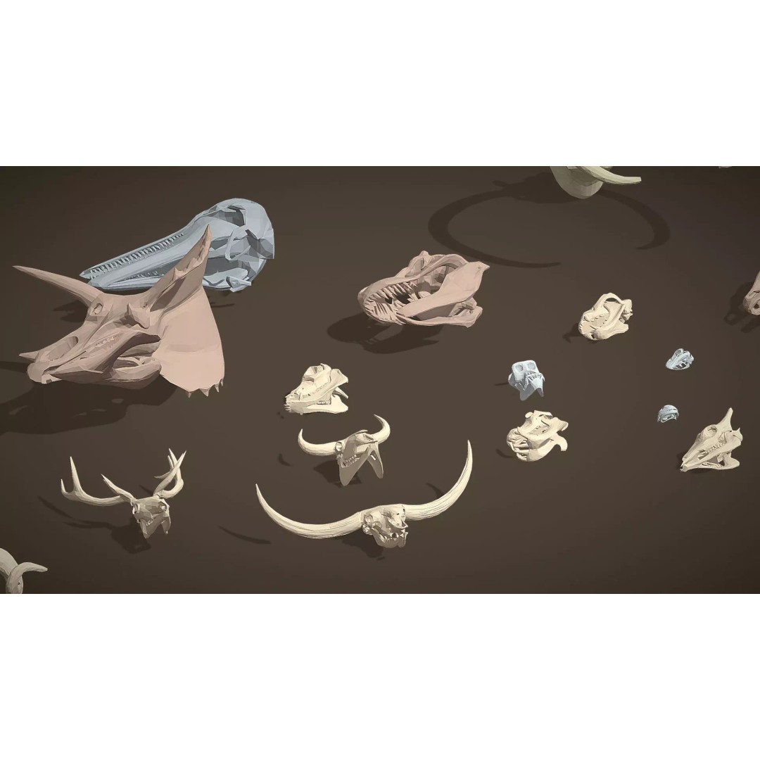 Skeleton Props 3D Model – Low Poly Collection with PBR Textures - View 31