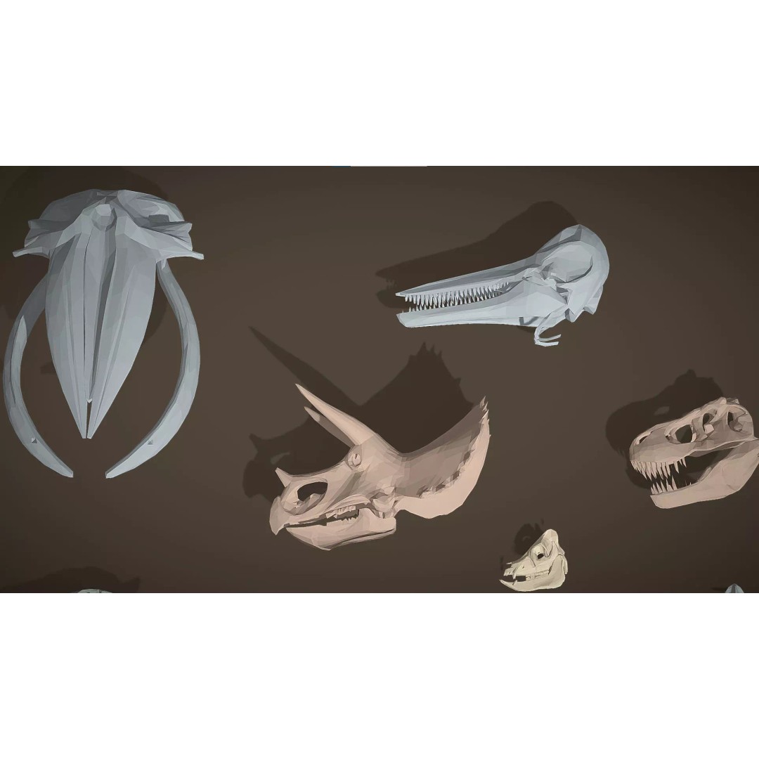 Skeleton Props 3D Model – Low Poly Collection with PBR Textures - View 35