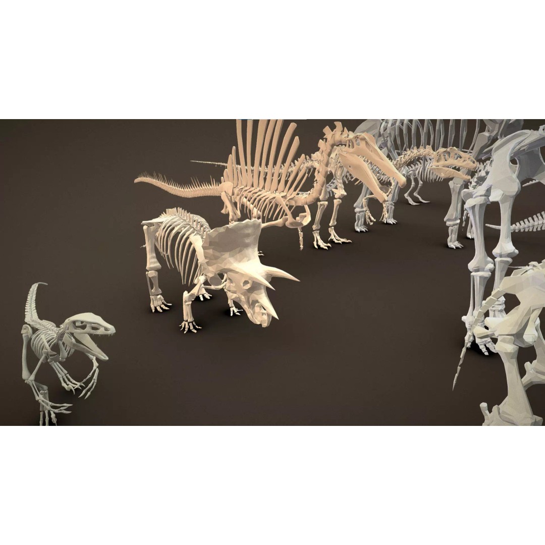 Skeleton Props 3D Model – Low Poly Collection with PBR Textures - View 40