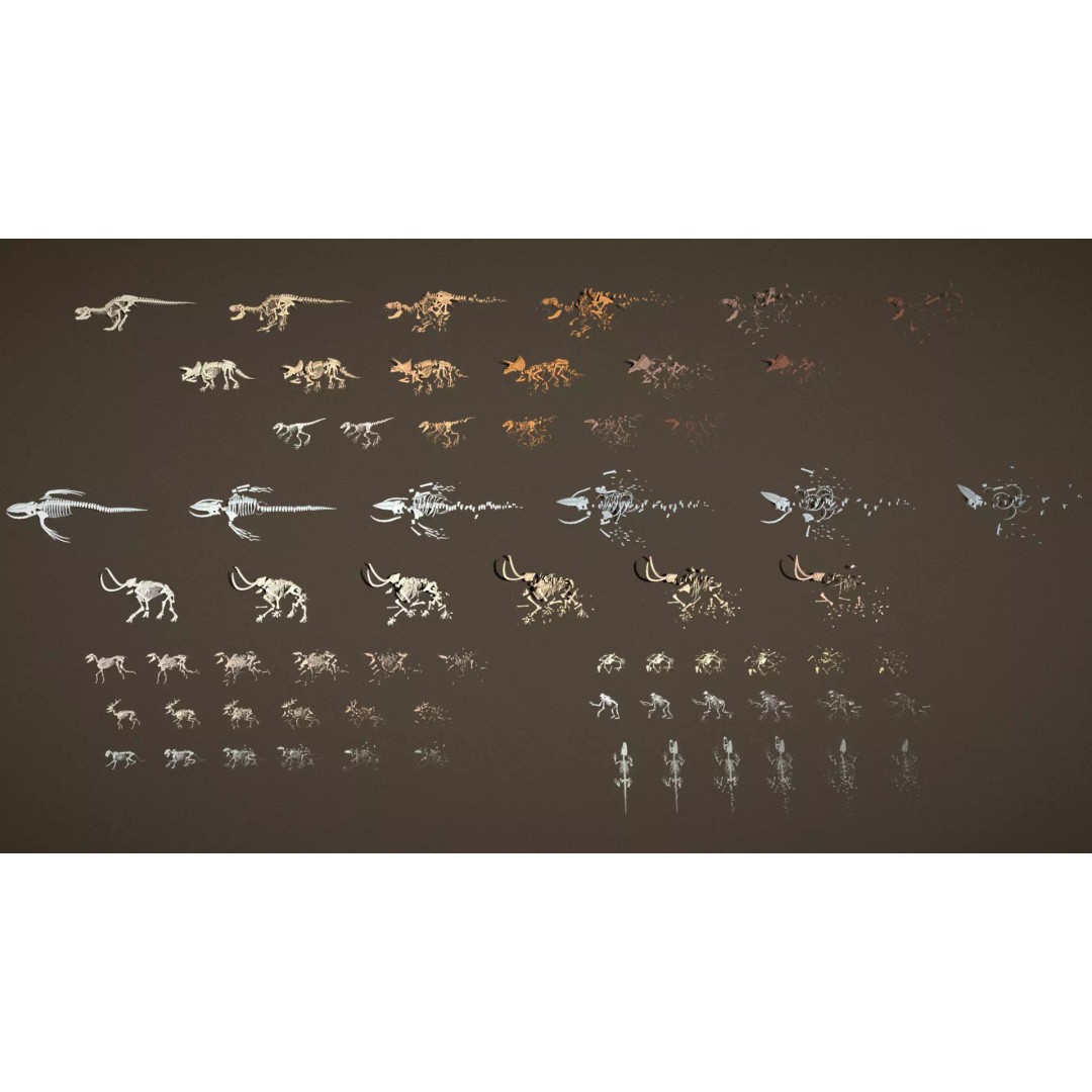 Skeleton Props 3D Model – Low Poly Collection with PBR Textures - View 6