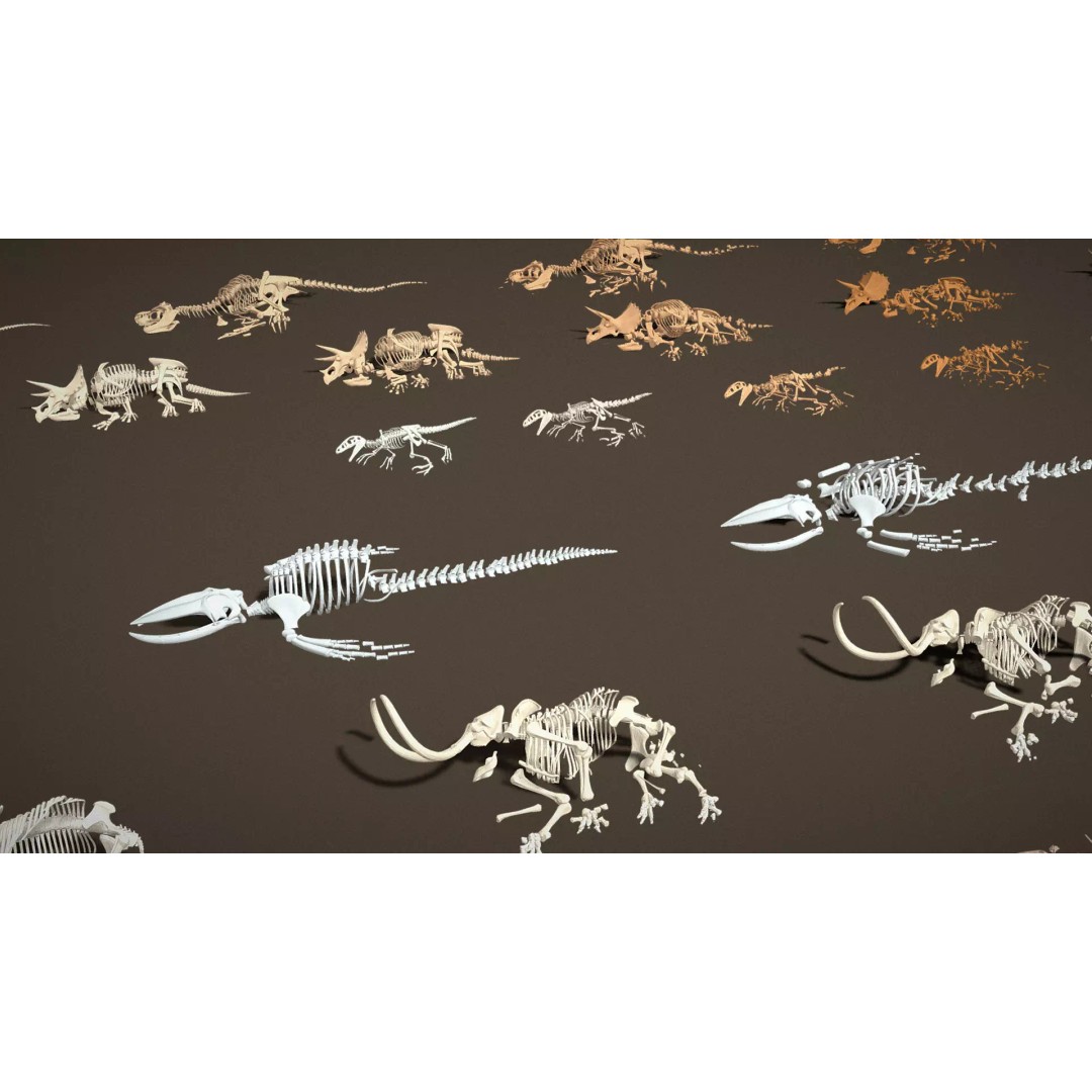 Skeleton Props 3D Model – Low Poly Collection with PBR Textures - View 7
