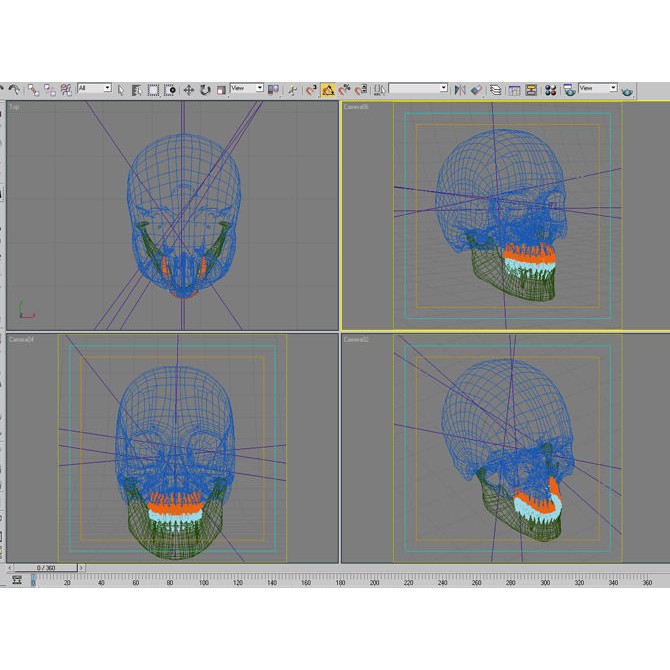Human Skull 3D Model – Anatomical Character Asset, FBX, OBJ
