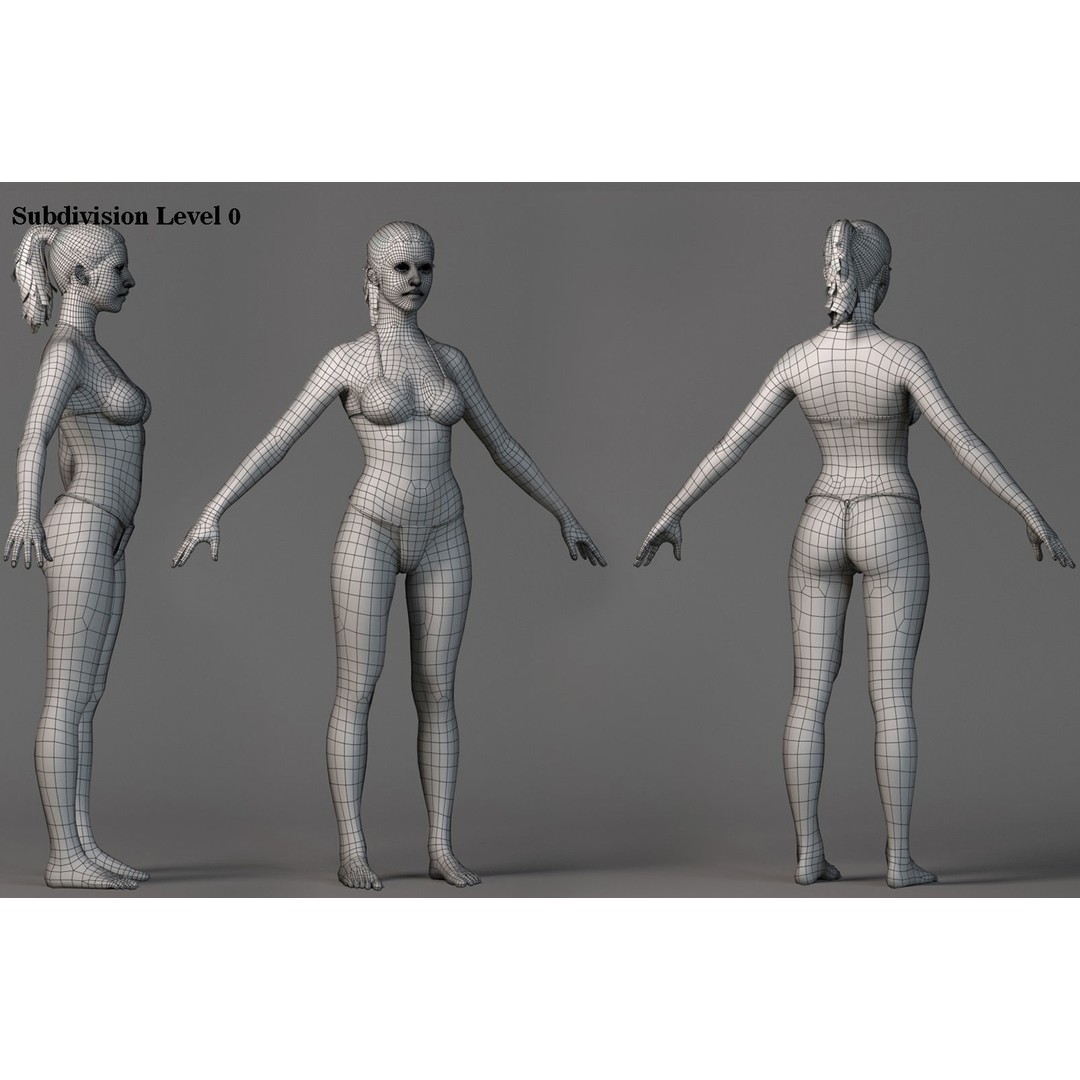 Female Base Model 3D Model – Low Poly Rigged Character, FBX, Blender - View 25