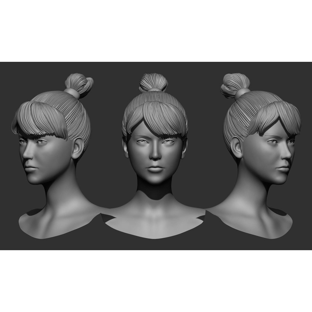 Female Hair 3D Model – High Poly Collection, ZTL, OBJ, STL - View 11