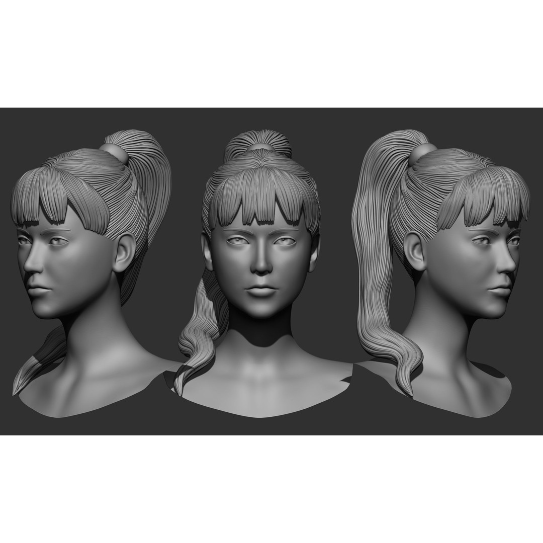 Female Hair 3D Model – High Poly Collection, ZTL, OBJ, STL - View 13