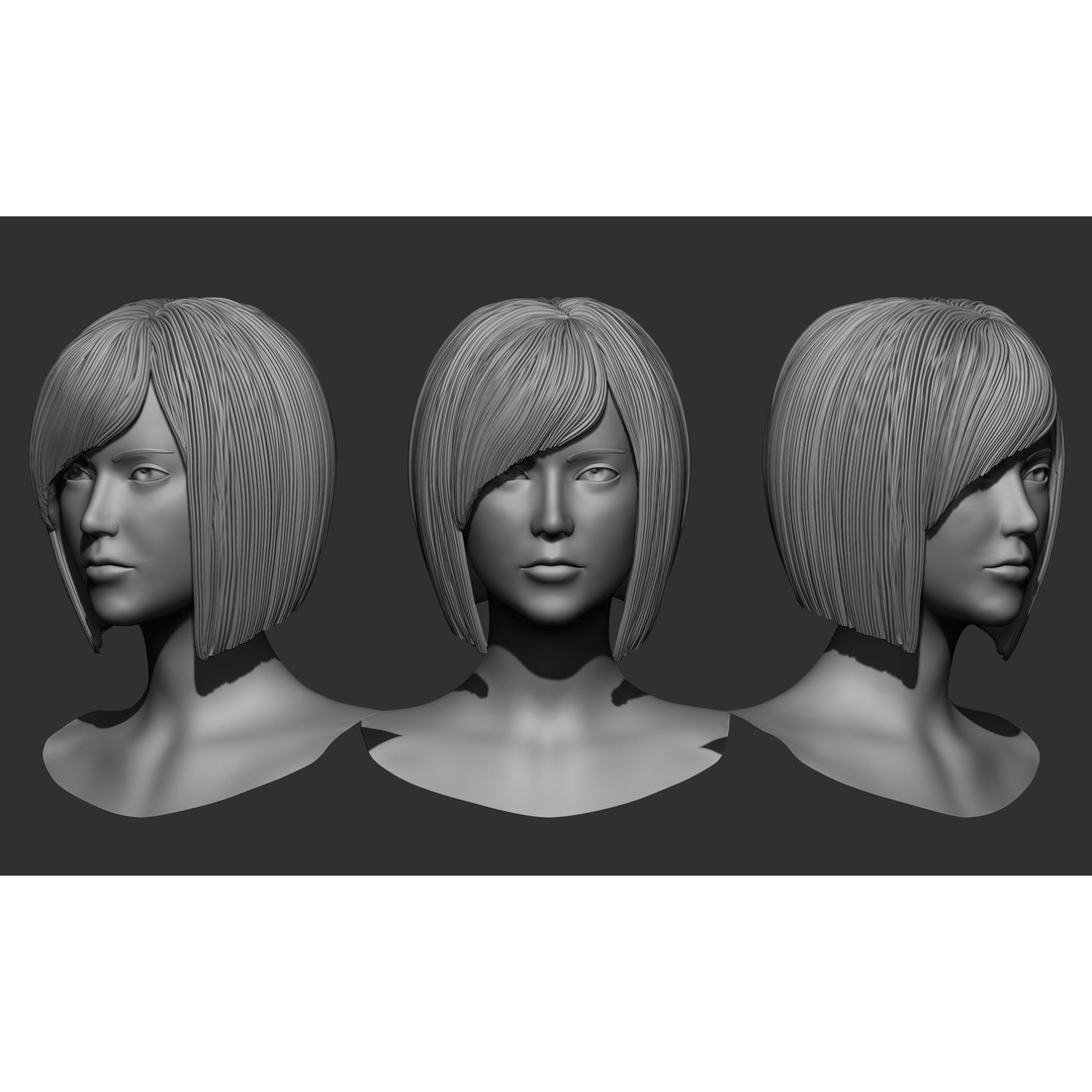Female Hair 3D Model – High Poly Collection, ZTL, OBJ, STL - View 15
