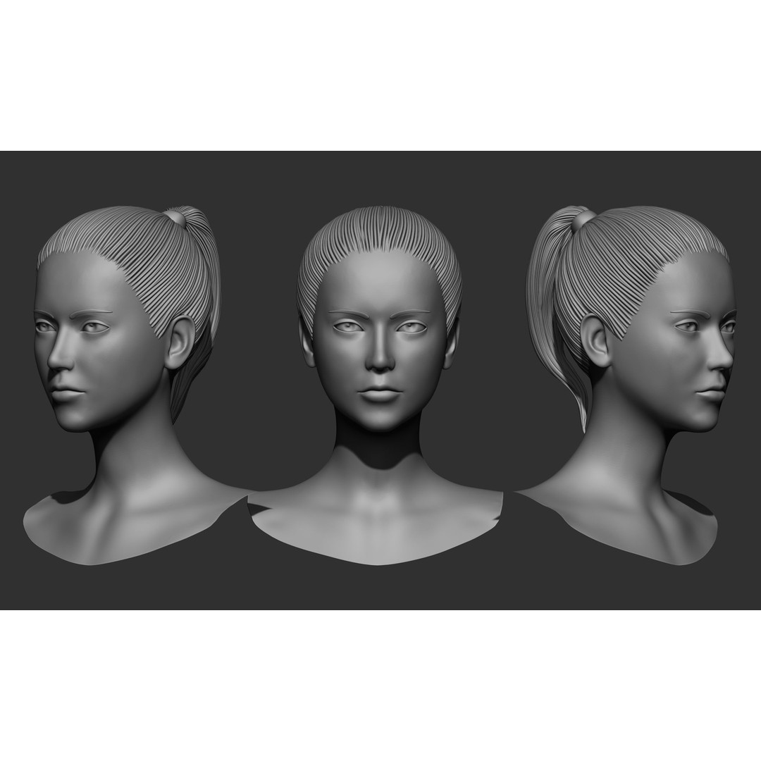 Female Hair 3D Model – High Poly Collection, ZTL, OBJ, STL - View 17