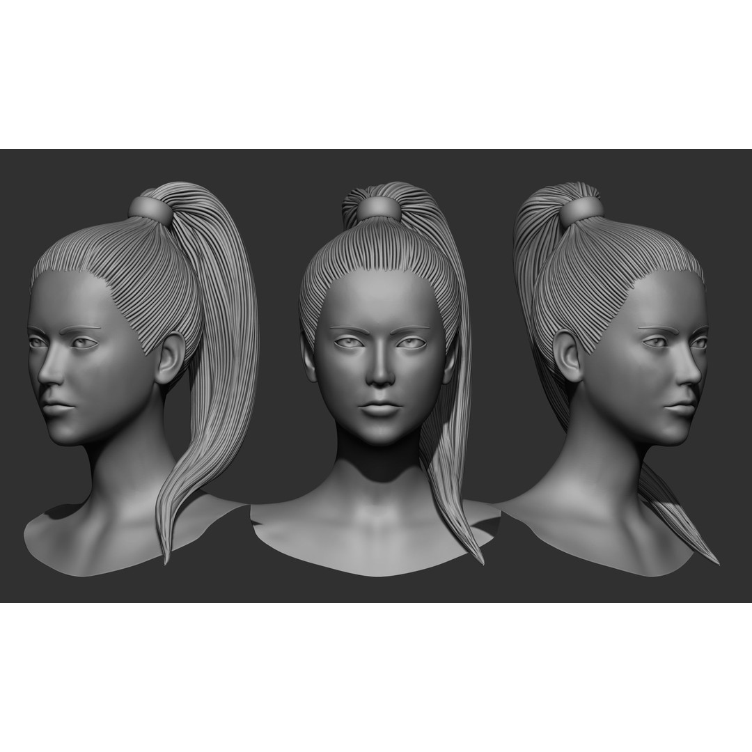 Female Hair 3D Model – High Poly Collection, ZTL, OBJ, STL - View 19